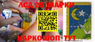 индика Моздок