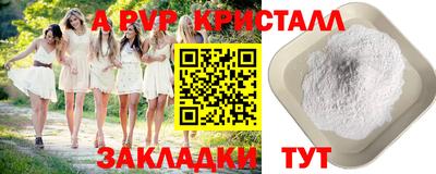 индика Моздок