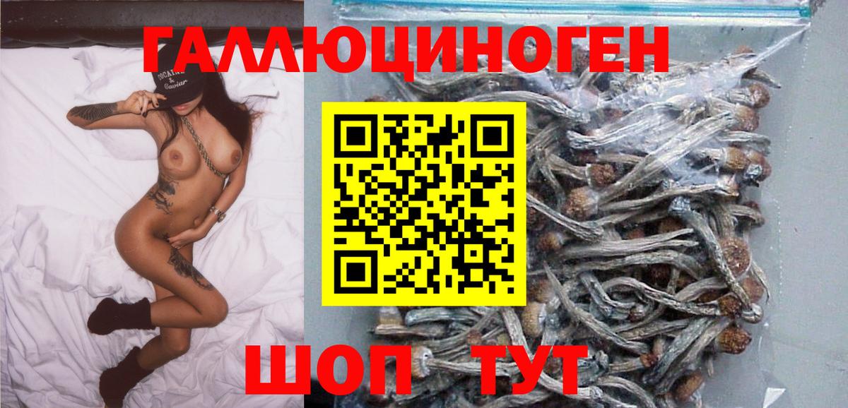 Псилоцибиновые грибы GOLDEN TEACHER  Вход с VPN  где можно купить   Заречный 