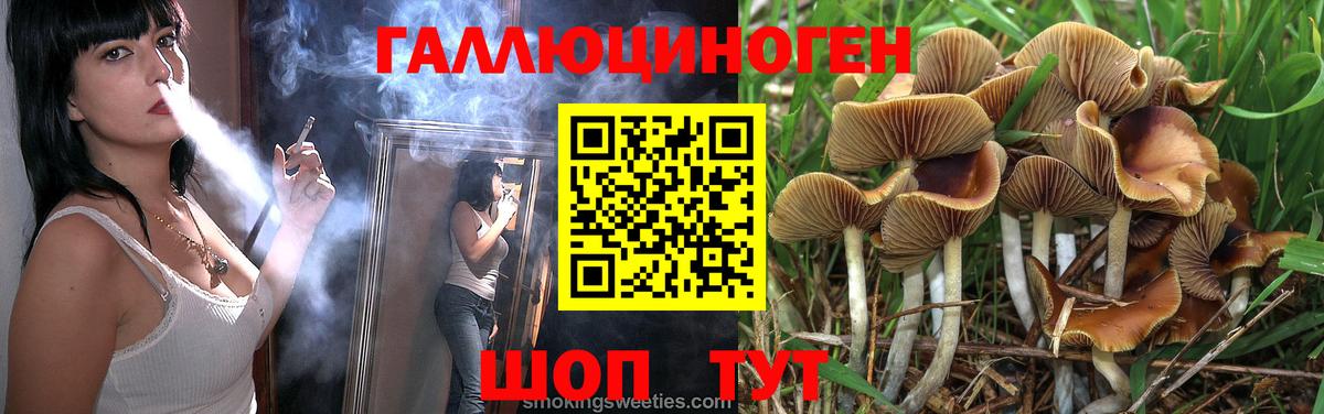Галлюциногенные грибы Psilocybe Заречный